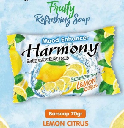 Harmony Soap - Image 6